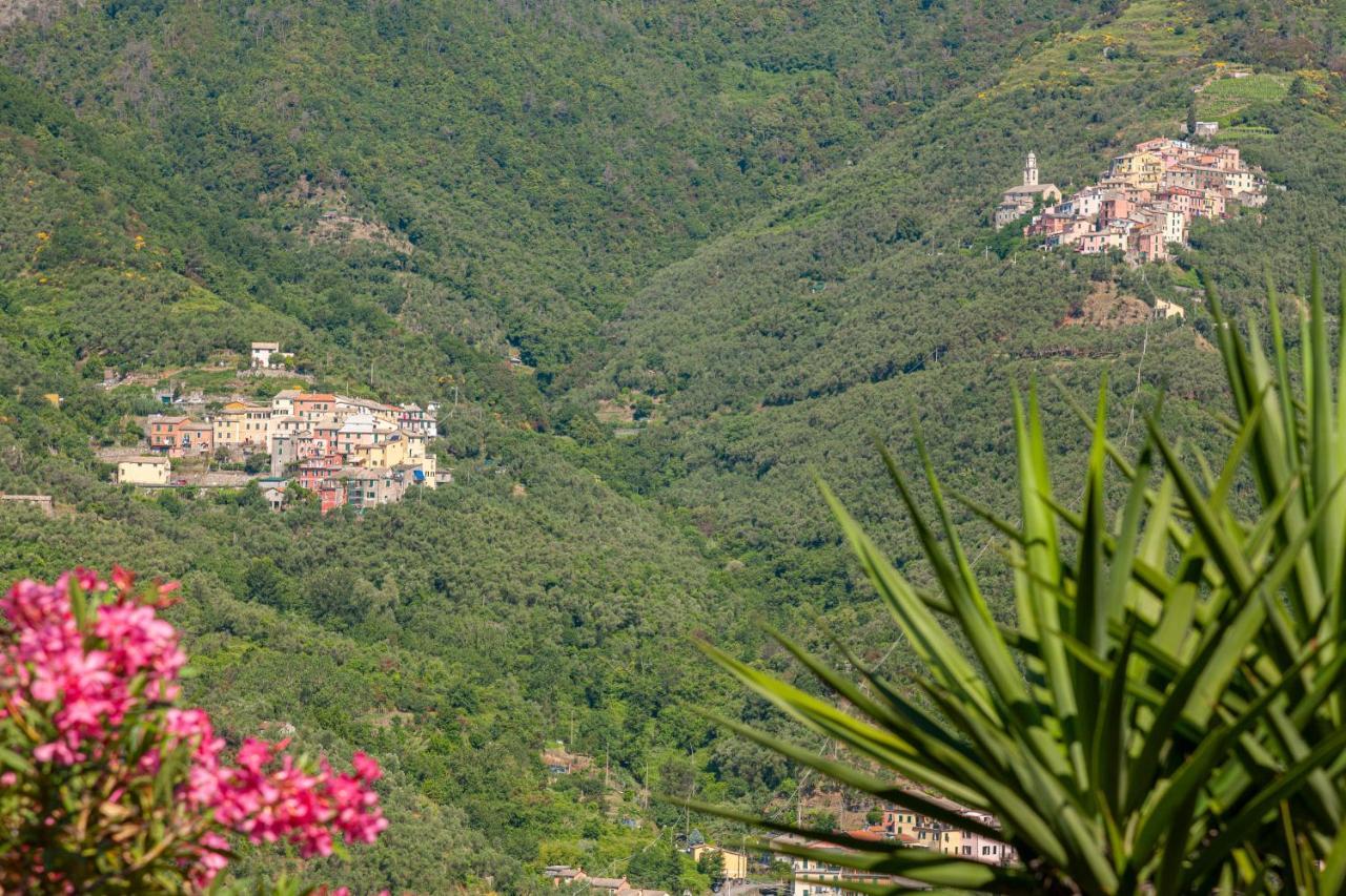 Villa Dell'Erta - Levanto Montale  Eksteriør bilde