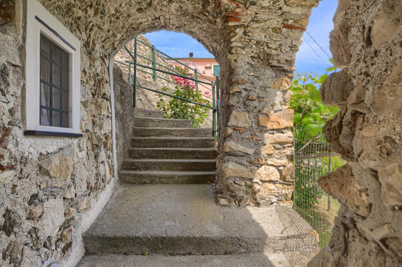 Villa Dell'Erta - Levanto Montale  Eksteriør bilde