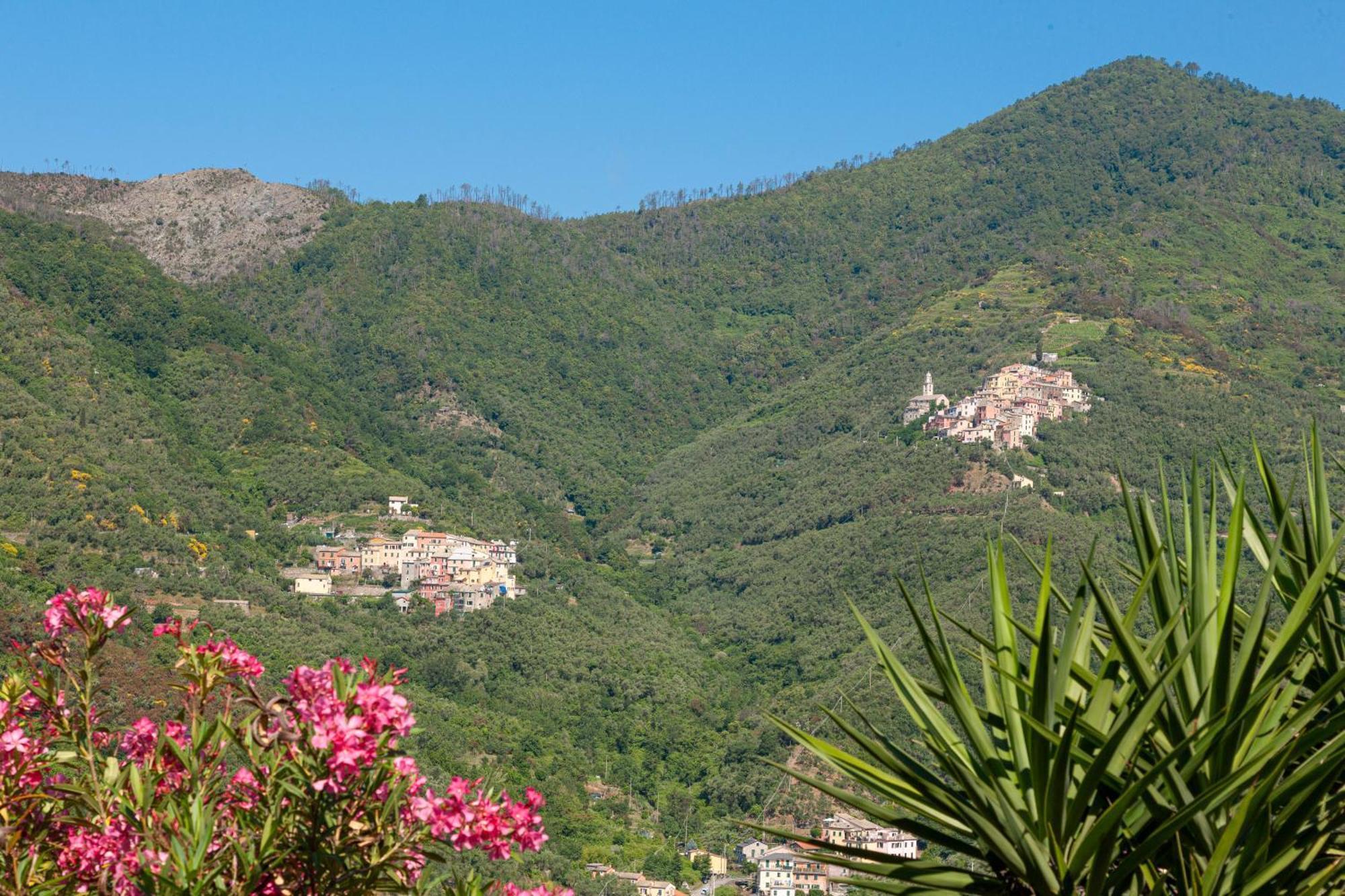 Villa Dell'Erta - Levanto Montale  Eksteriør bilde
